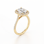 Emerald-cut Halo Engagement Ring with a Diamond Gold Band