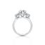 Round-cut Three Stone Engagement Ring with Round Side Stones in Gold