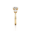 Round-cut Three Stone Engagement Ring with Round Side Stones in Gold