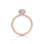 Round-cut Engagement Ring with a Three Row Pavé Diamond Band