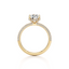 Round-cut Engagement Ring with a Three Row Pavé Diamond Band