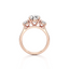 Round-cut Three Stone Engagement Ring with Round Side Stones in Gold